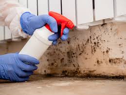 Best Mold Odor Removal Services  in Mcdade, TX